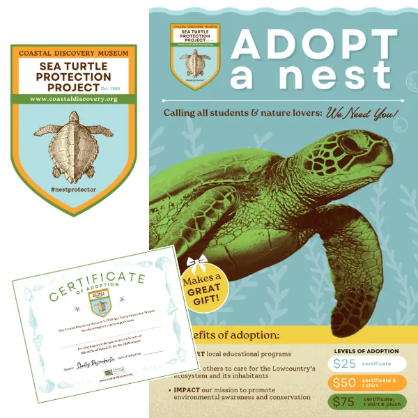 BranUp by Brighstocking | fundraising marketing agency