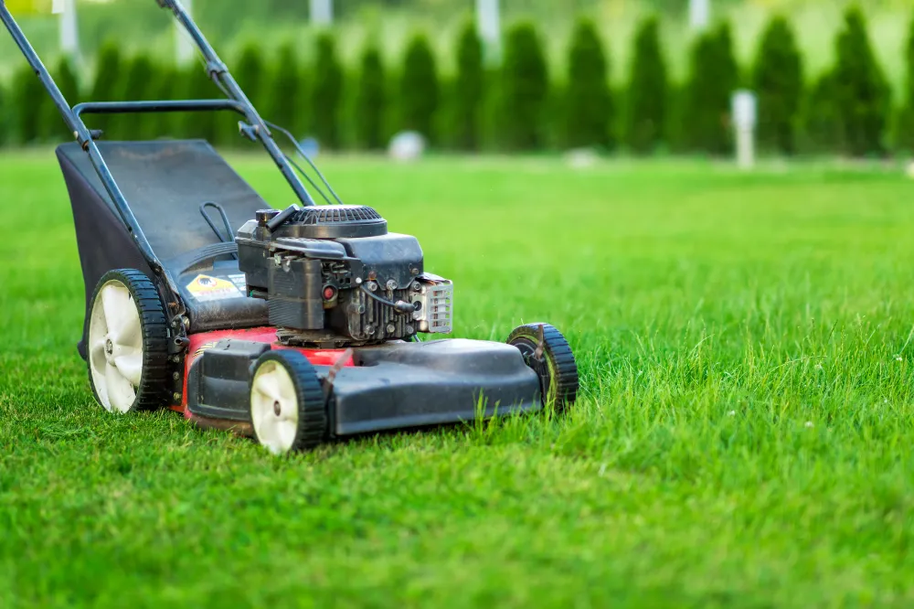 Freshly cut green lawn with professional mower