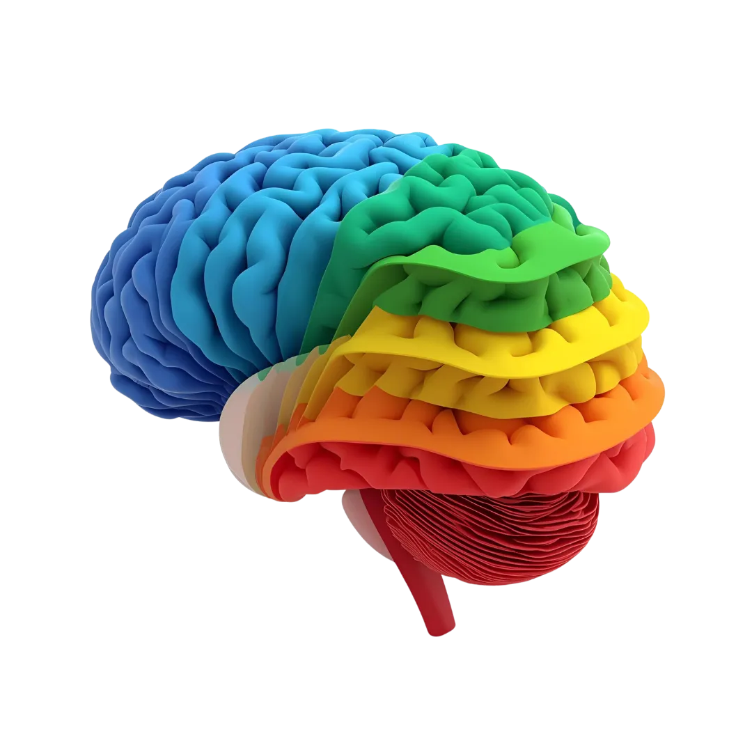 Layers of Brain Development