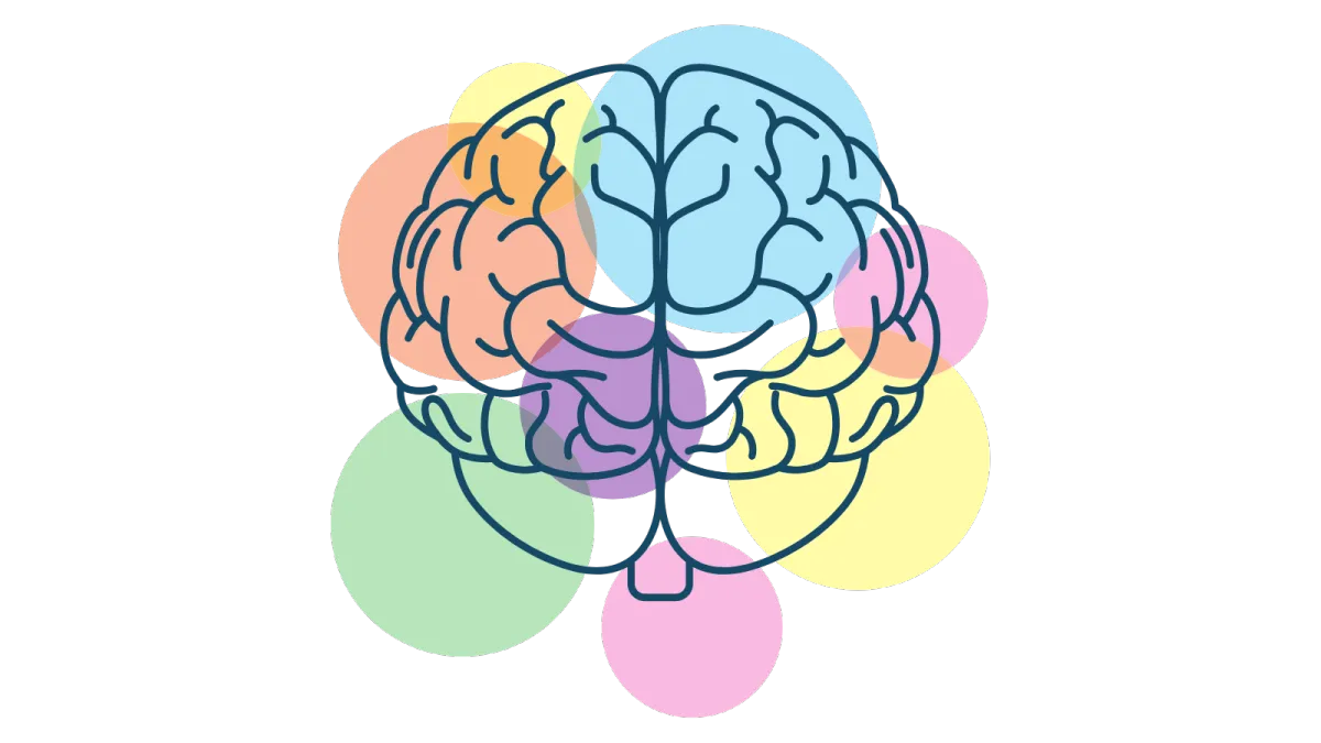 Better Brain Function