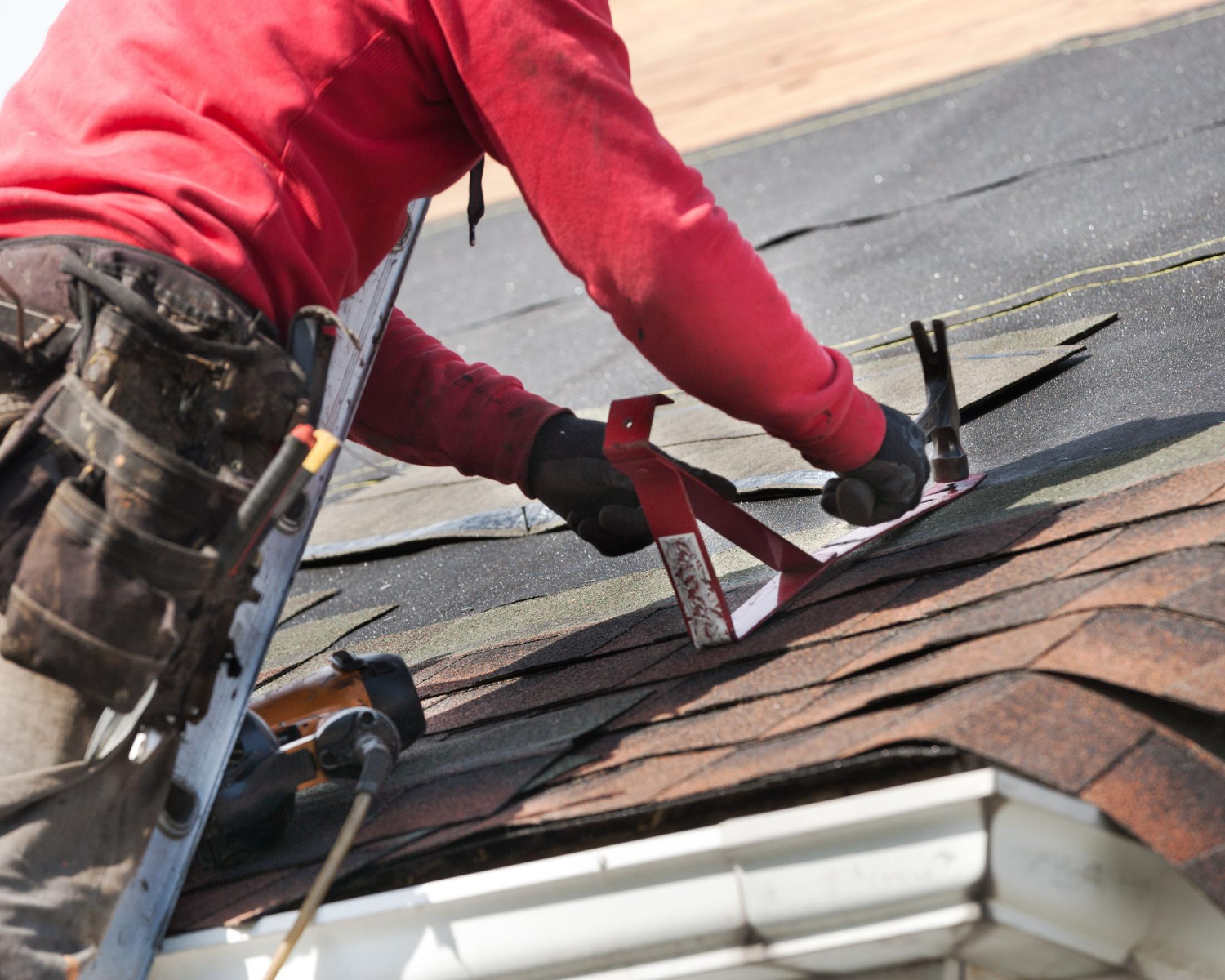 Roof Replacement