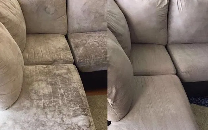 Upholstery Cleaning