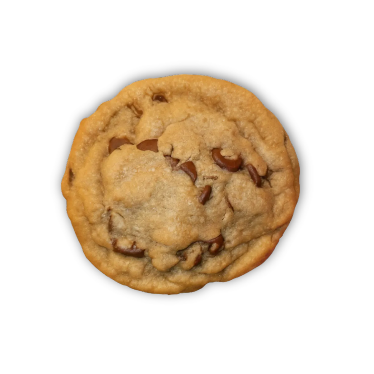 🍪 Chocolate Chip Therapy