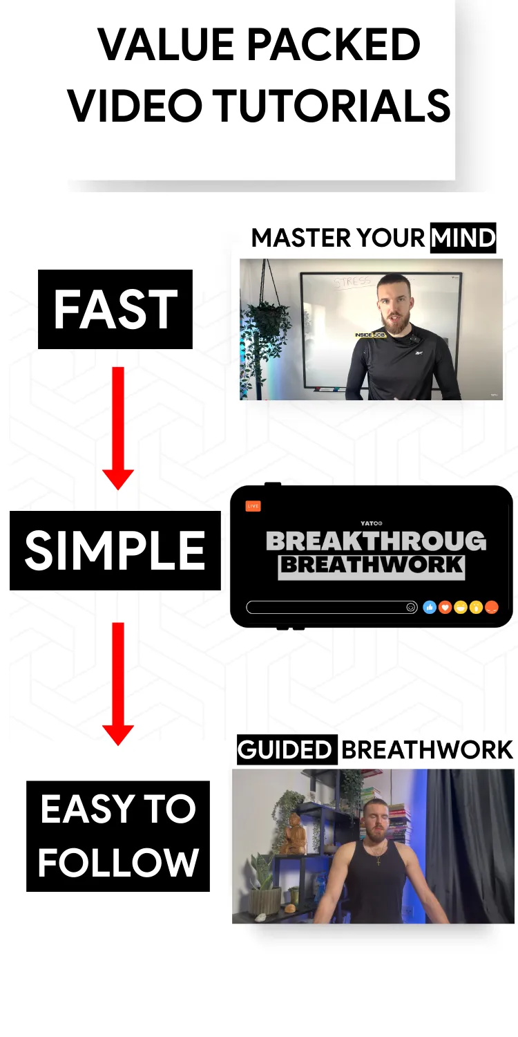 Easy simple easy to follow video tutorials