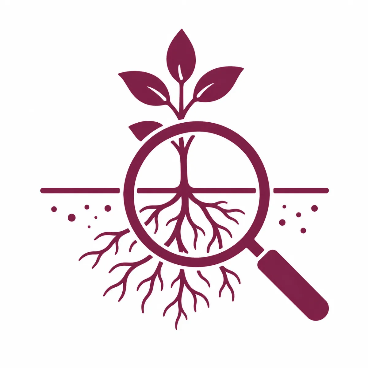 Root cause Medicine with Naturopathic Doctor