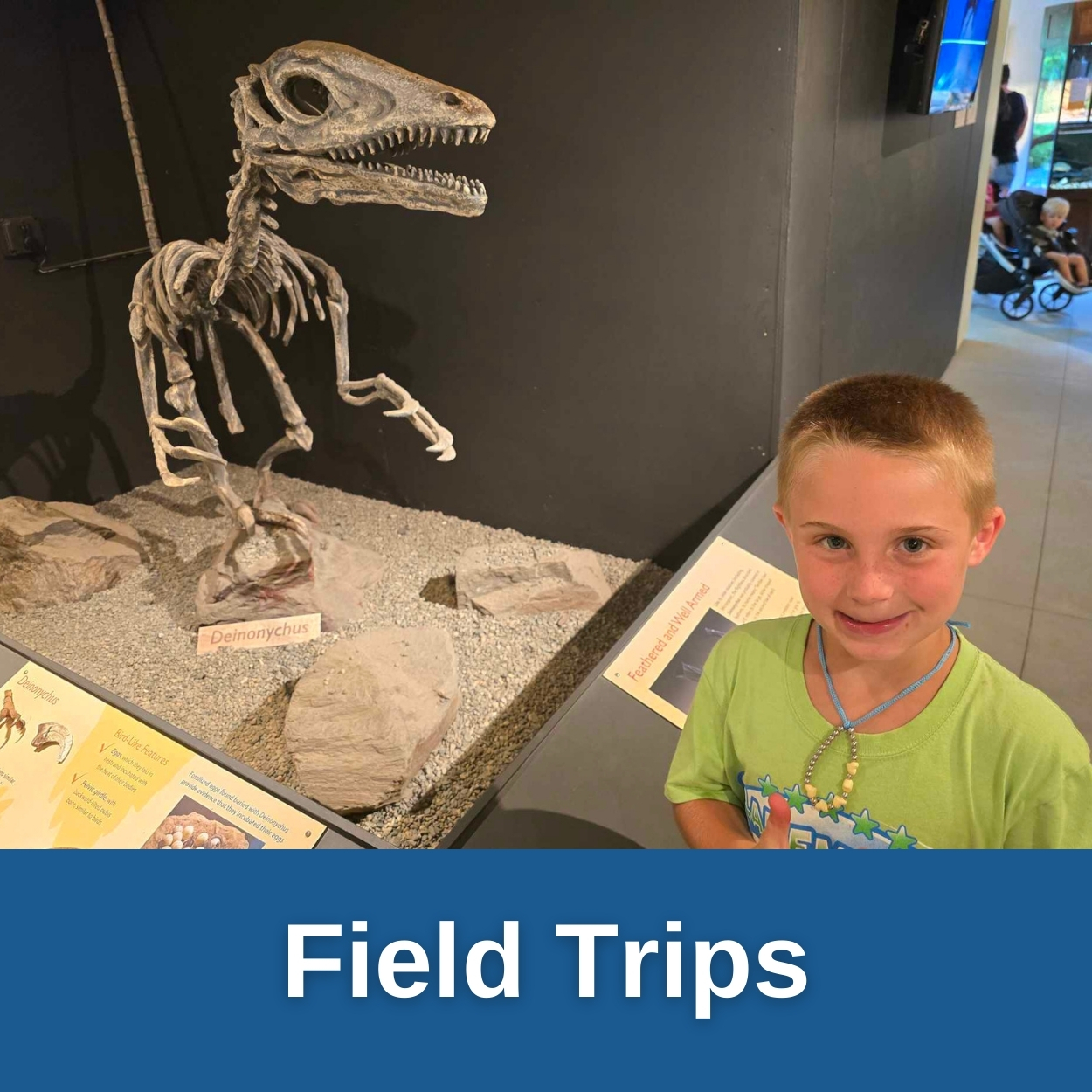 Summer Camp Field Trips!