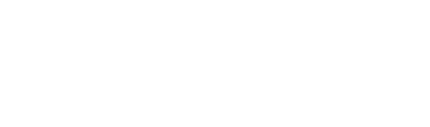 The Naked Librarian