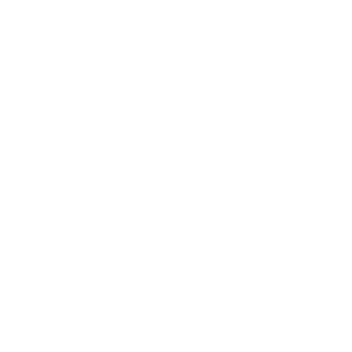 Hibiscus Massage Brand Logo