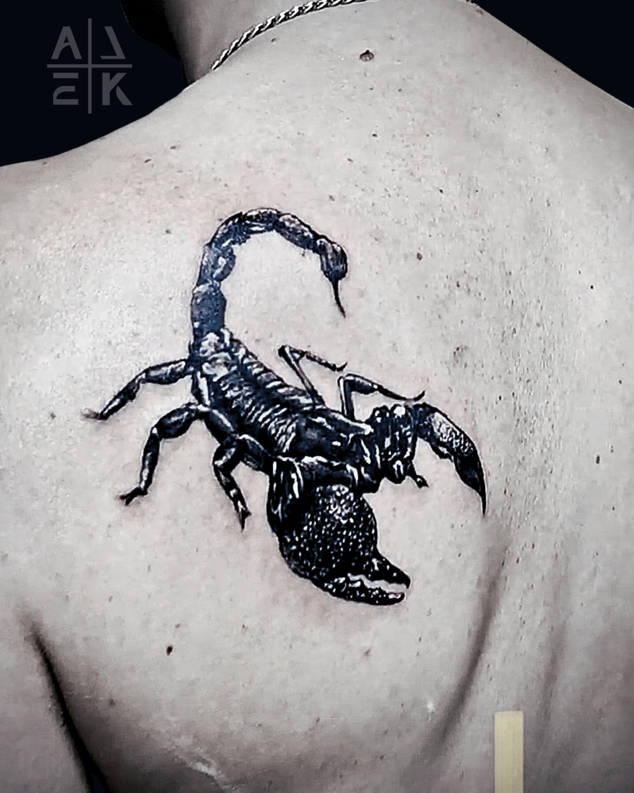 Blackwork scorpion tattoo with bold black ink and high-contrast detail on the upper back, tattooed by Alek the Saint at San Diego Tattoo Company in Pacific Beach, San Diego