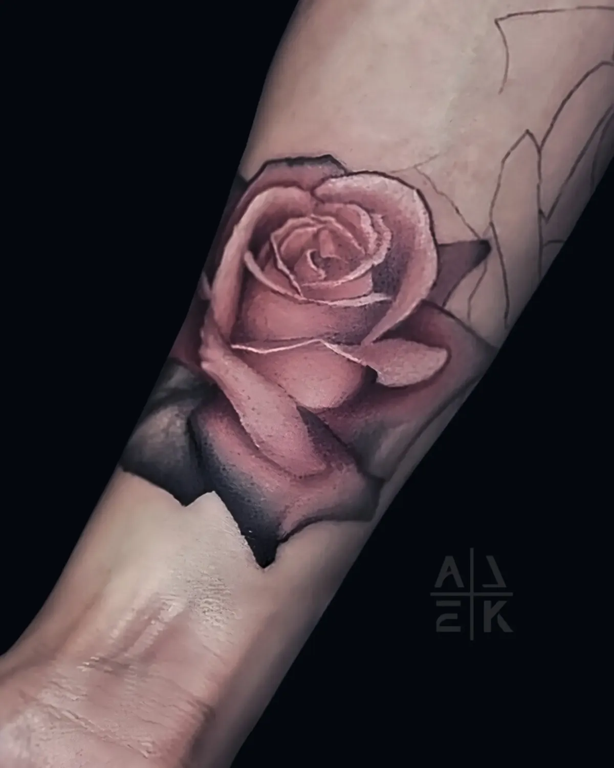 Realistic pink rose tattoo with smooth gray shading and clean edges — color realism by Alek the Saint in Oceanside, Ca