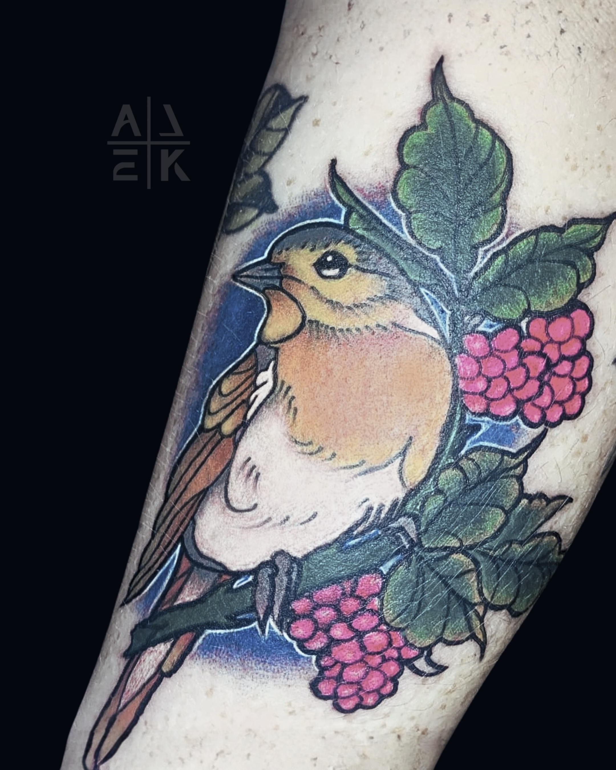 Realistic pink rose tattoo with smooth gray shading and clean edges — color realism by Alek the Saint in Oceanside, Ca