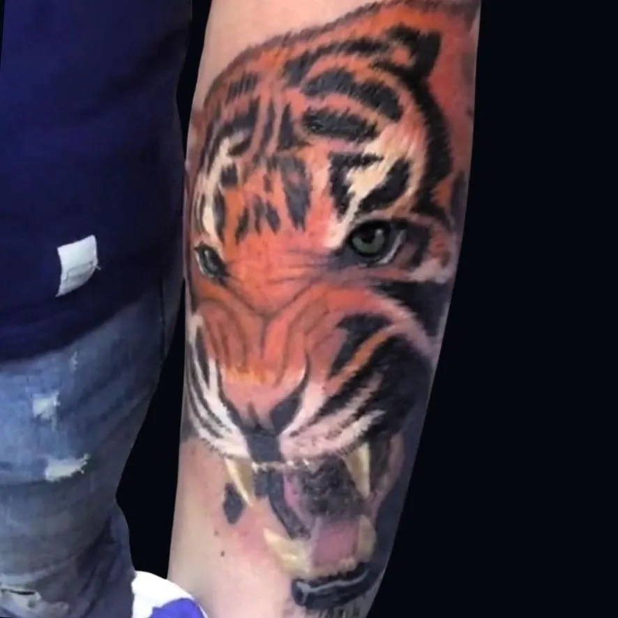 a color realism tattoo of a tiger on the forearm done in Oceanside