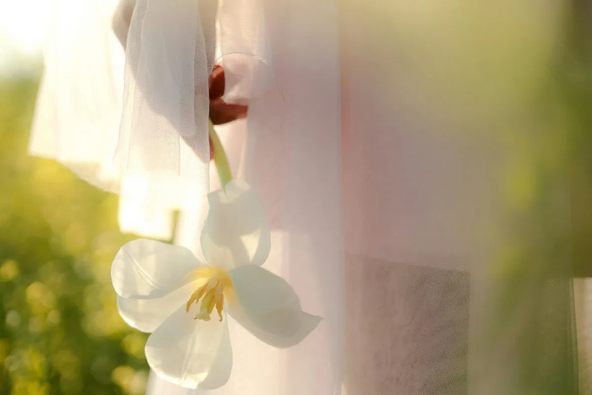 E146 - Toxic Money Beliefs: Why Wealth is Spiritual