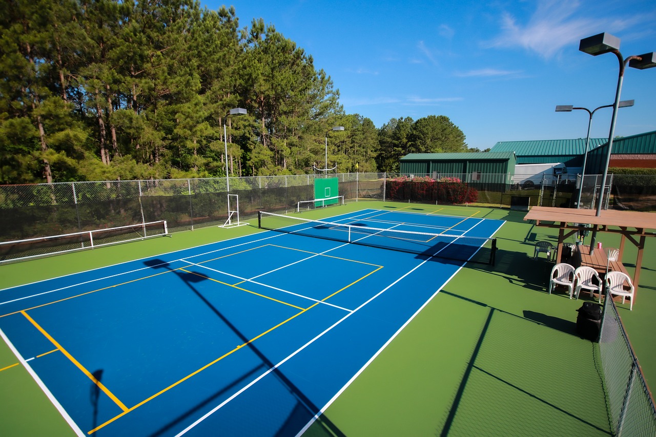 Image Pickleball Courts in Dayton, Ohio