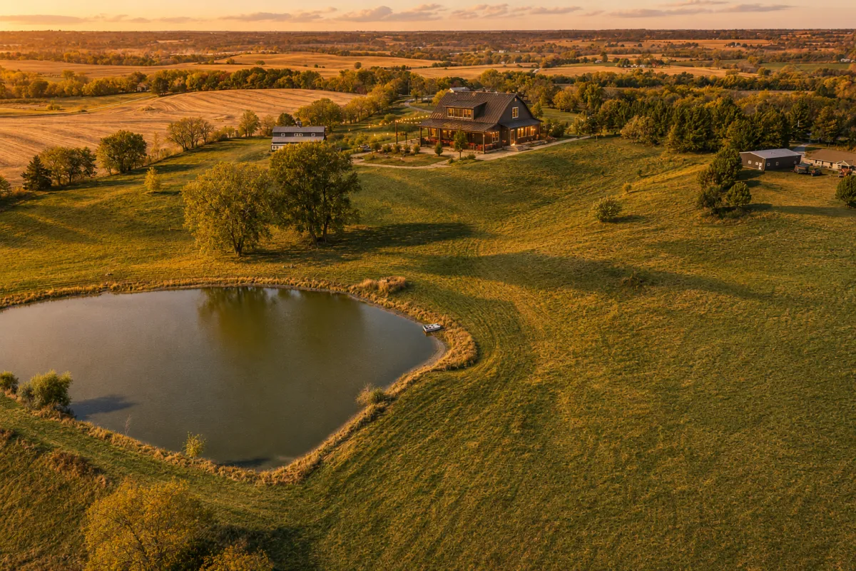 Play With Alpacas at Free Bird Farms | Missouri Farm Stay