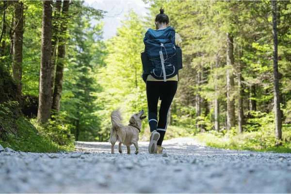The Bristol Dog Owner's Spring Outdoor Guide: What to Pack, Watch For, and Feed