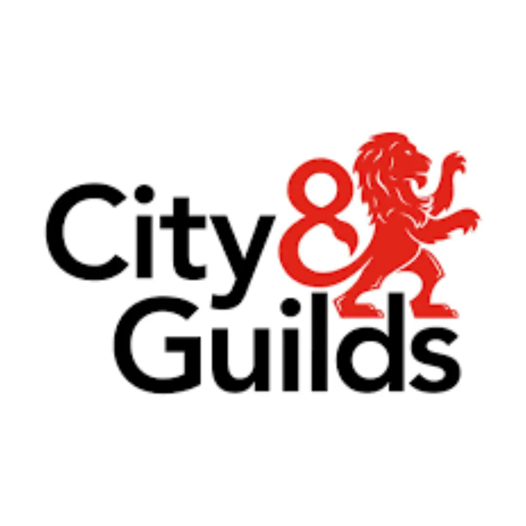 city and guilds nvq level 3 qualified