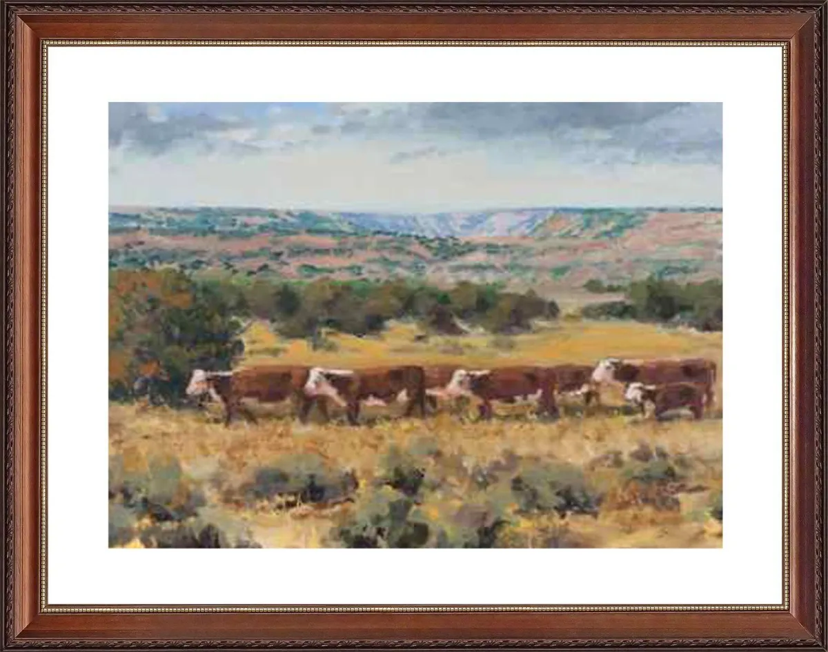 amarillo picture framing art gallery David McMurry