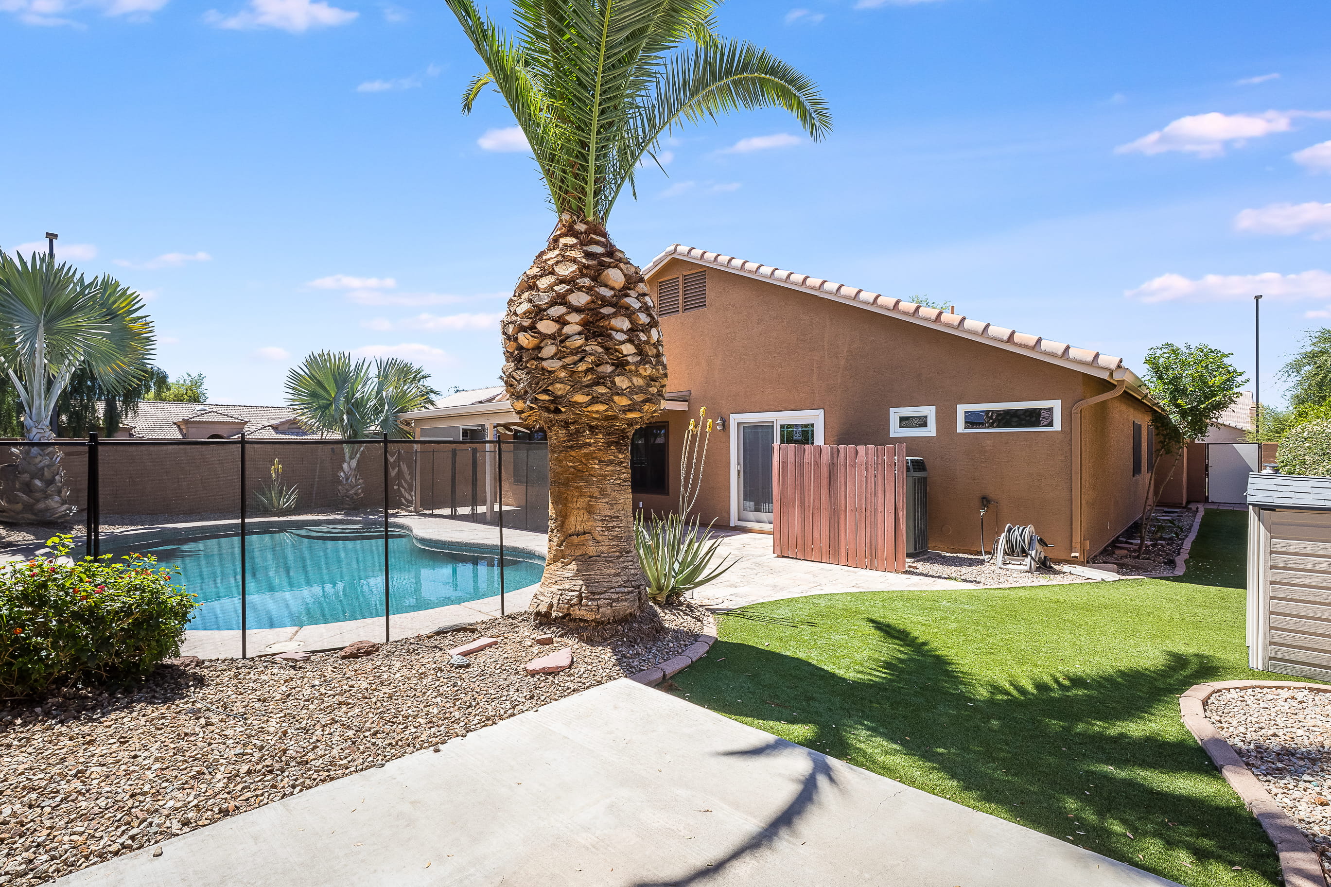 backyard with green grass pool and palm tree