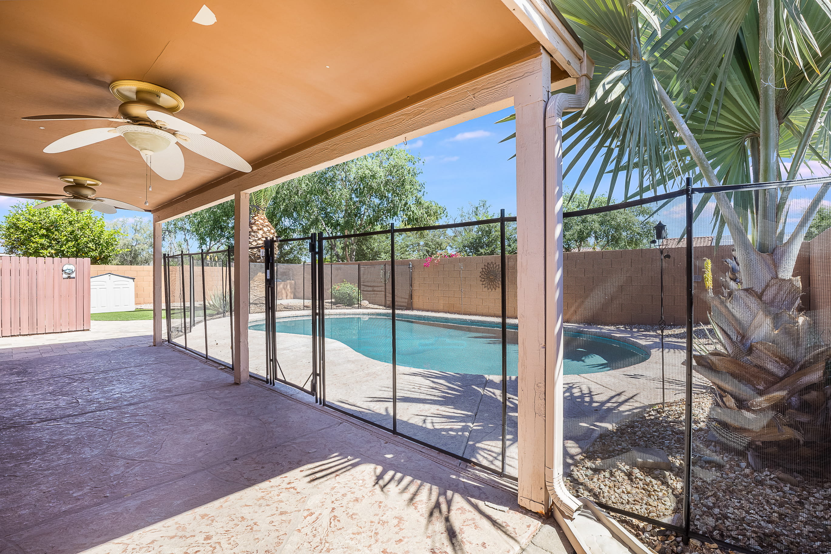 Gilbert, AZ backyard