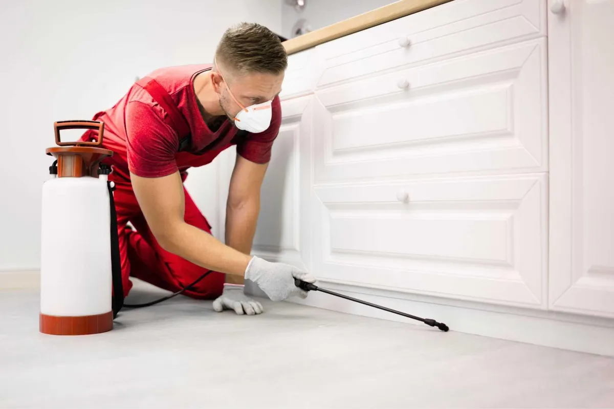 Licensed pest control technician treating kitchen baseboards during interior perimeter service in a Riverview, FL home
