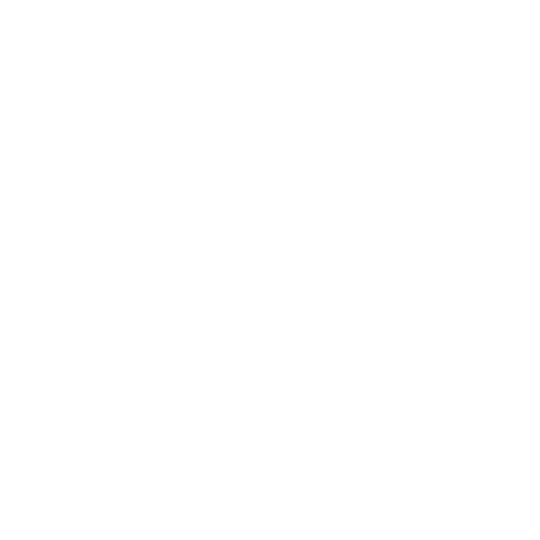 Instagram Icon