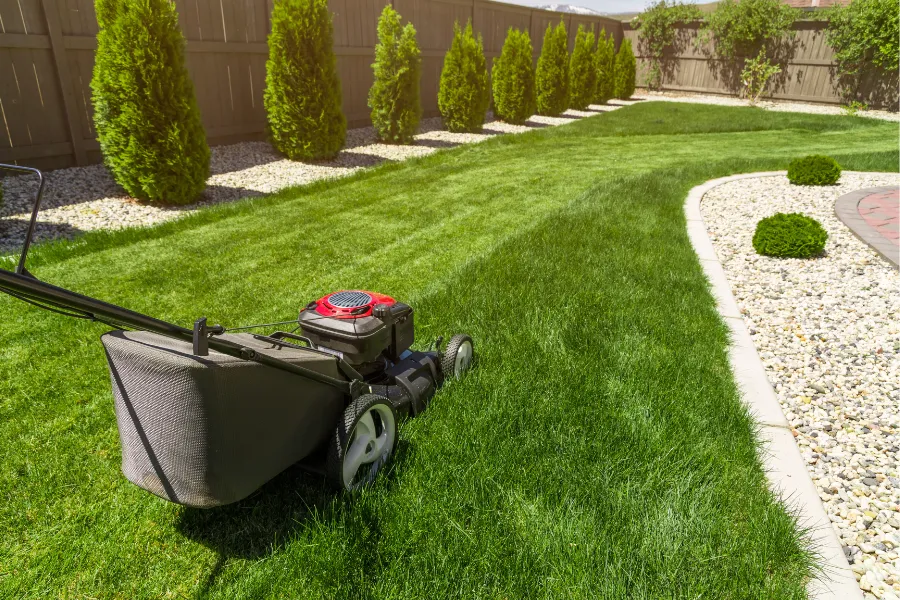 Lawn Care in 