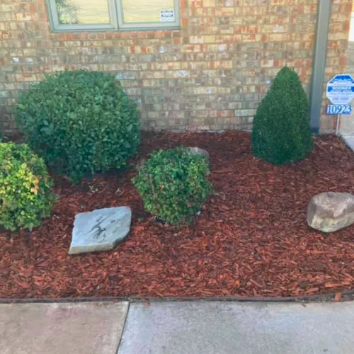 Lawn Care 