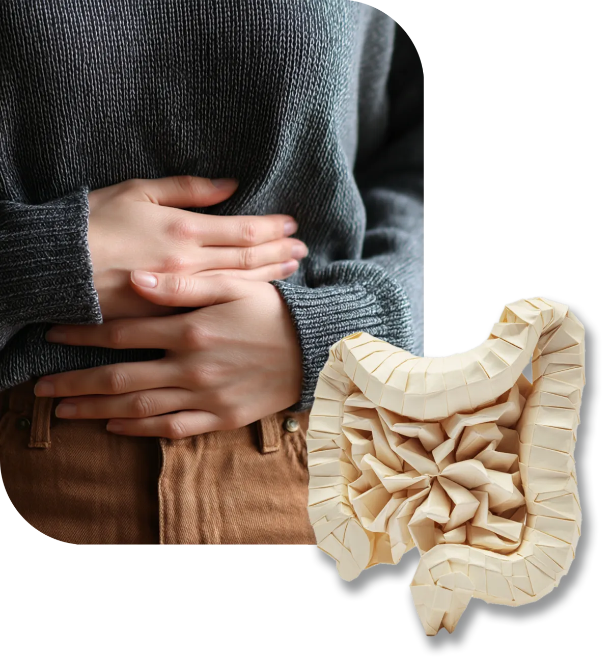 A lady holding her hands over her stomach and belly region overlaid with an origami modelled large intestine and small intestine you