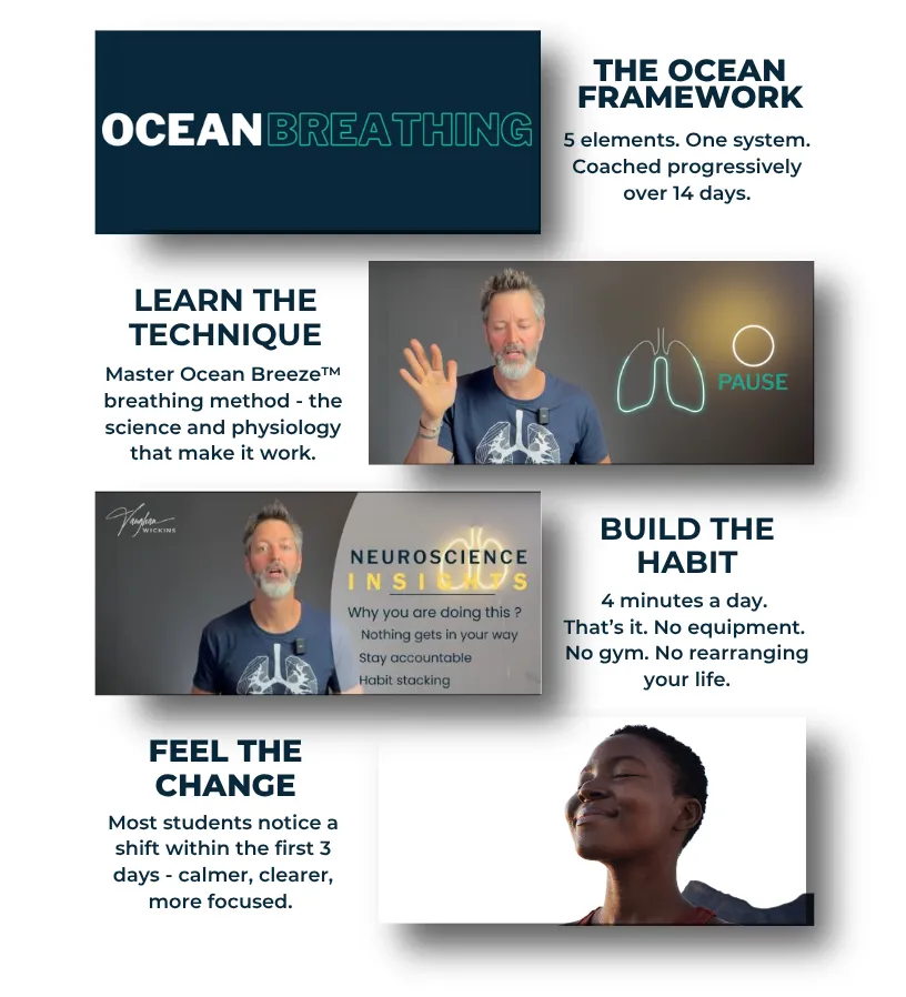 Vaughan Wickins 14-Day Ocean Breeze™ Challenge overview - four key elements: the OCEAN framework taught progressively over 14 days, learning the Ocean Breeze™ breathing technique and its physiology, building a 4-minute daily habit with neuroscience insights, and feeling calmer, clearer and more focused within the first 3 days.