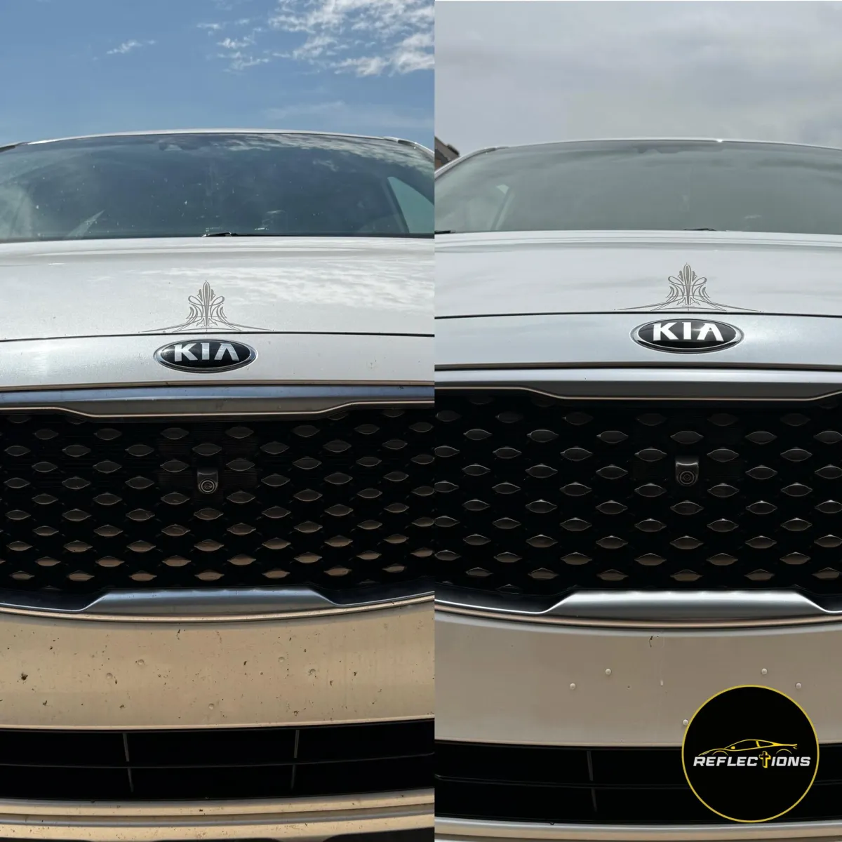 Bug Removal on Front of Car