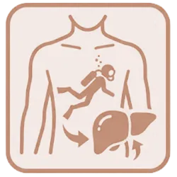 Deep Dive + Liver Flush