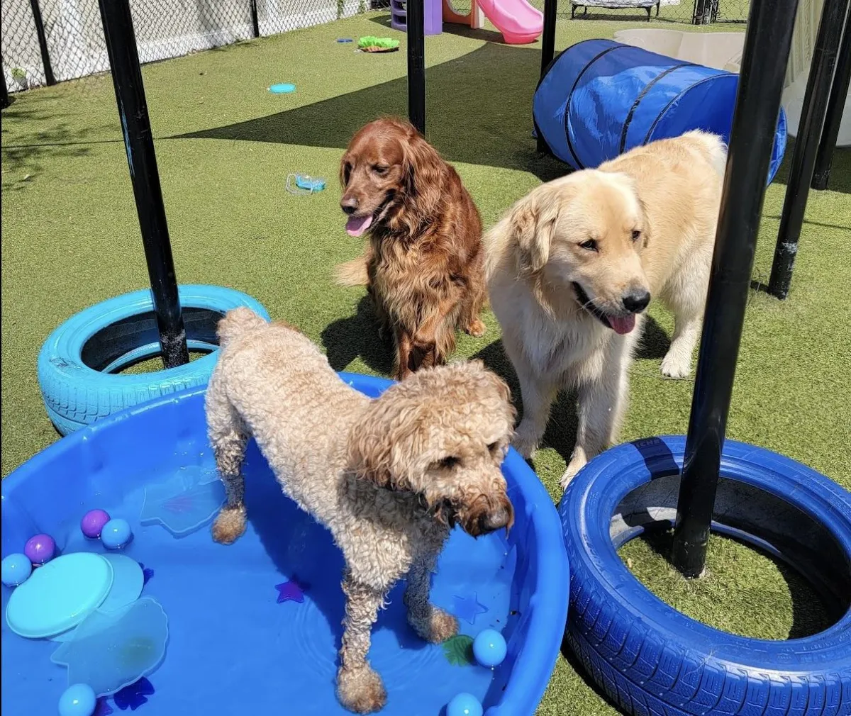 Summer Safety