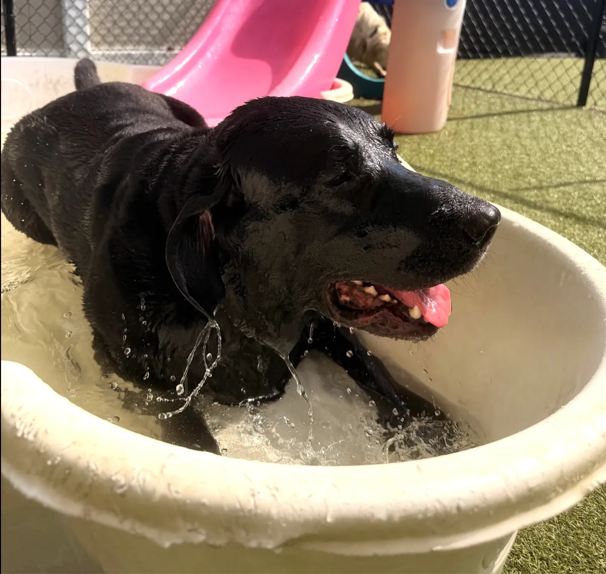 Hot Weather Tips
