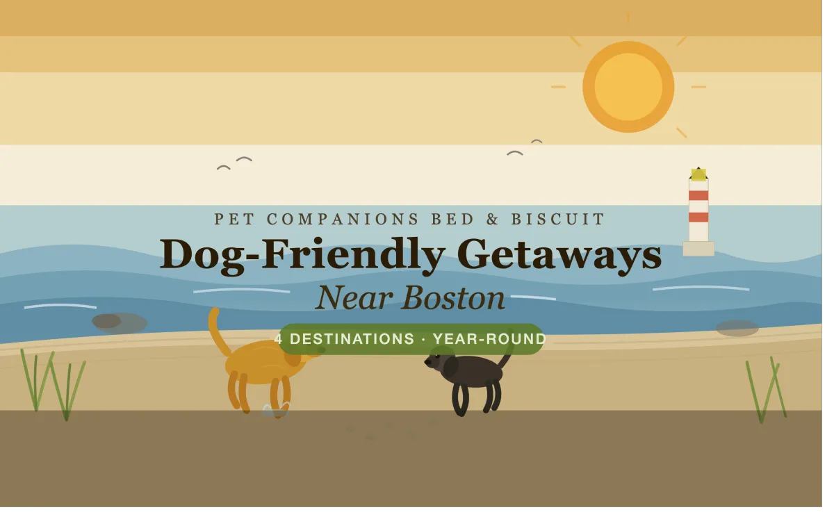 Dog-Friendly Getaways Near Boston