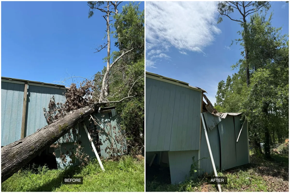 Emergency Tree Removal
