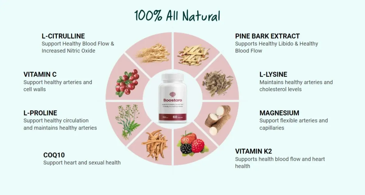 boostaro ingredients