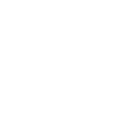 Icon representing the Electrician Lead Generator system for attracting local leads and jobs