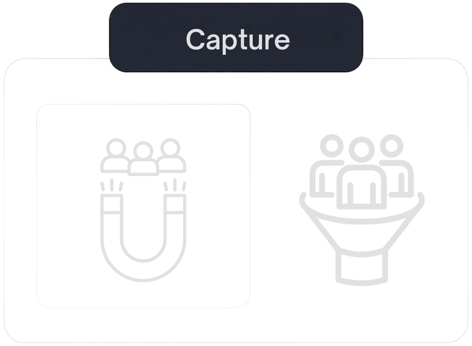 marketing consultant capure