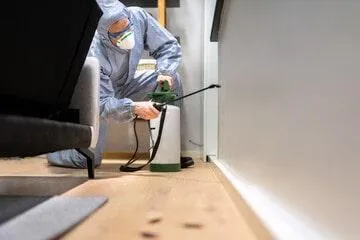 Buckeye Handyman pest control around home perimeter