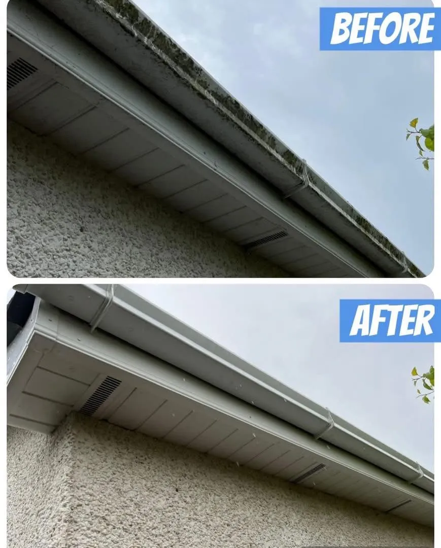 Gutter cleaning and maintenance for Balbriggan residential property
