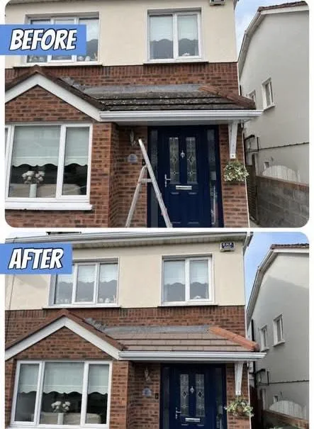 Roof cleaning removing moss and algae in Balbriggan home