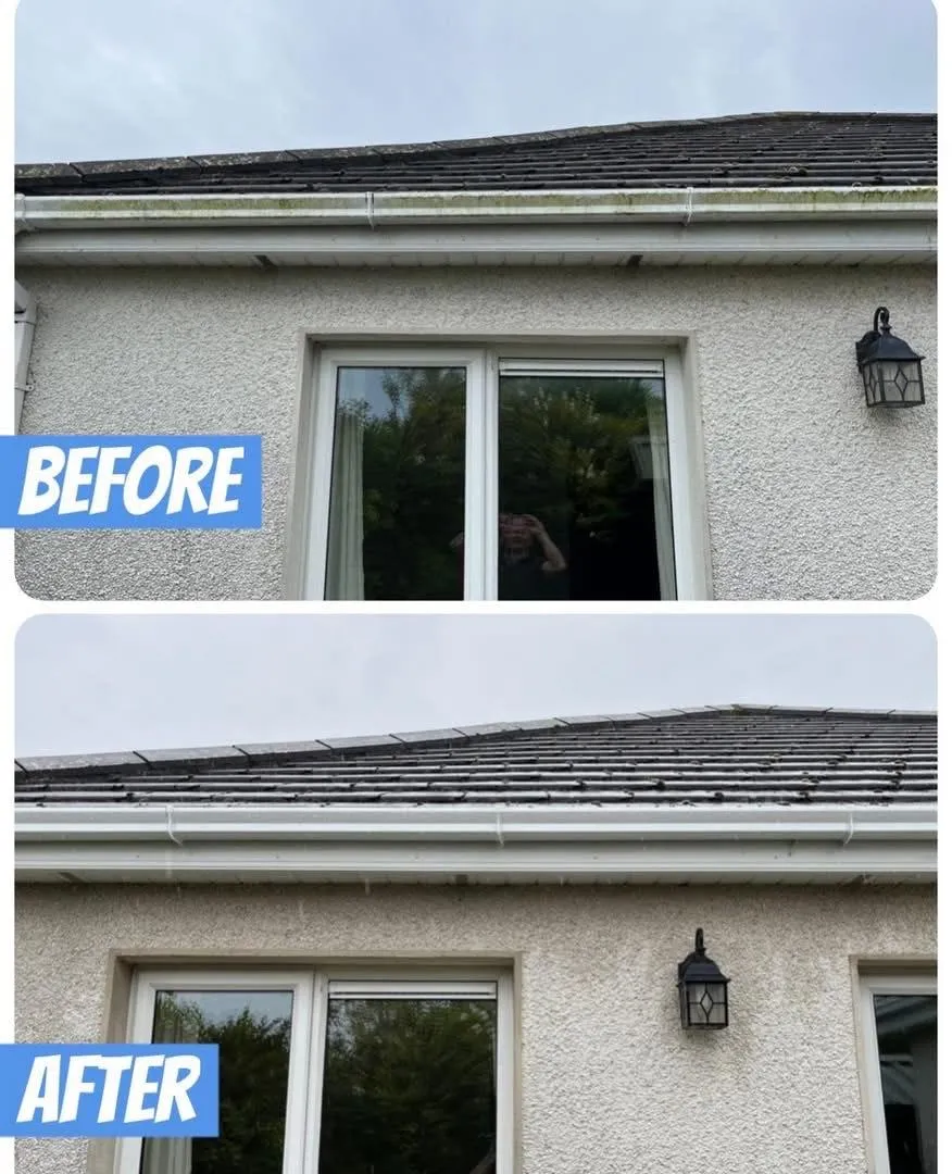 Before and after window cleaning on a Balbriggan home