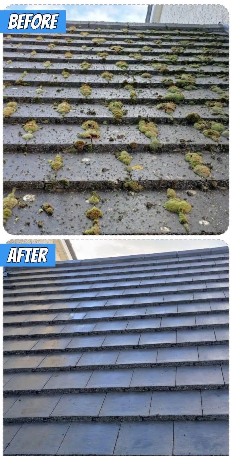 Roof cleaning removing moss and algae in Balbriggan home