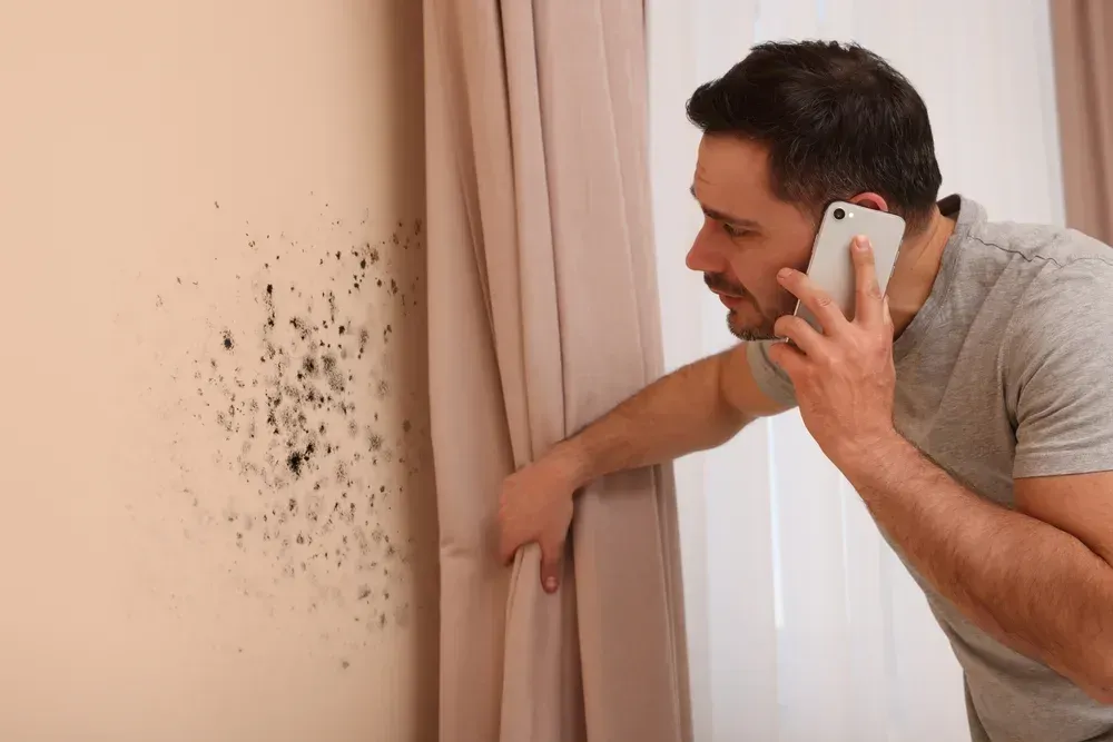 Mold Experts USA