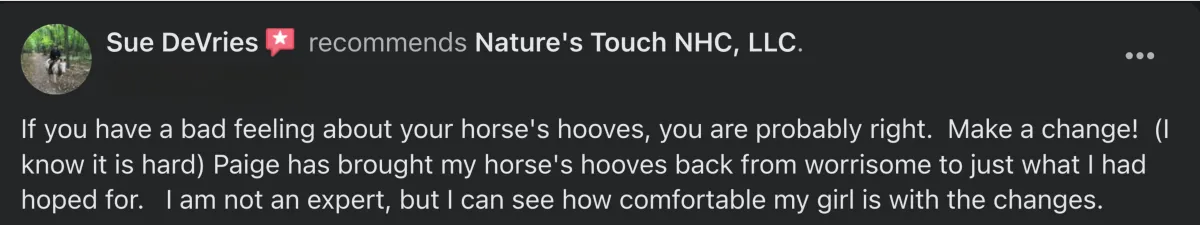 Nature's Touch NHC natural horse care review
