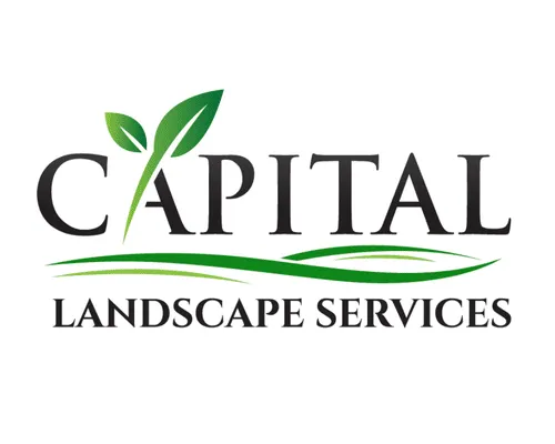 Landscaping Austin, TX