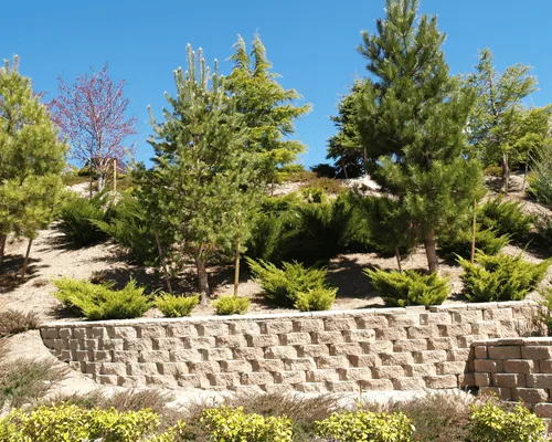 Austin, TX Landscape Maintenance
