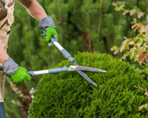  Landscape Maintenance
