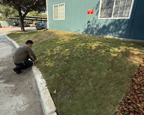 Landscape Installation in Austin, TX